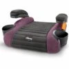 Chicco GoFit Backless Belt Positioning Booster Car Seat - Grape