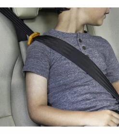 Chicco GoFit ClearTex Backless Booster Car Seat - Shadow -Stroller Promotion Store chicco gofit cleartex backless booster car seat shadow 113