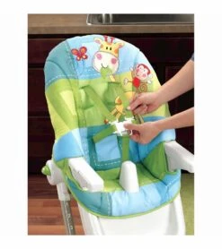 Fisher Price Fisher-Price Discover N' Grow EZ Clean High Chair -Stroller Promotion Store fisher price discover n grow ez clean high chair 159