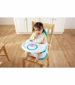 Fisher Price Fisher-Price Quick-Clean Portable Booster ChairDeluxe -Stroller Promotion Store fisher price quick clean portable booster chairdeluxe 35