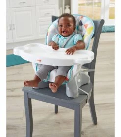 Fisher Price Fisher-Price Space Saver High Chair -Stroller Promotion Store fisher price space saver high chair 283