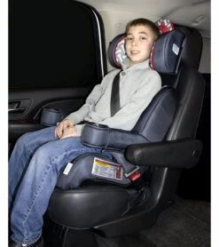 KidsEmbrace Harness Booster Car Seat - Paw Patrol Marshall -Stroller Promotion Store kidsembrace harness booster car seat paw patrol marshall 66