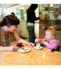 Mountain Buggy Pod V2 Portable Hook On Table Chair - Lime -Stroller Promotion Store mountain buggy pod v2 portable hook on table chair lime 45