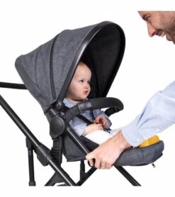 Phil & Teds Voyager Stroller - Black -Stroller Promotion Store phil teds voyager stroller black 426