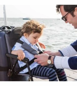 Think King SitAlong Toddler Luggage Seat -Stroller Promotion Store think king sitalong toddler luggage seat 237